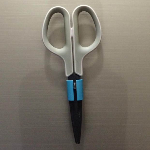 11164829_880129048693134_6563415787186967347_n