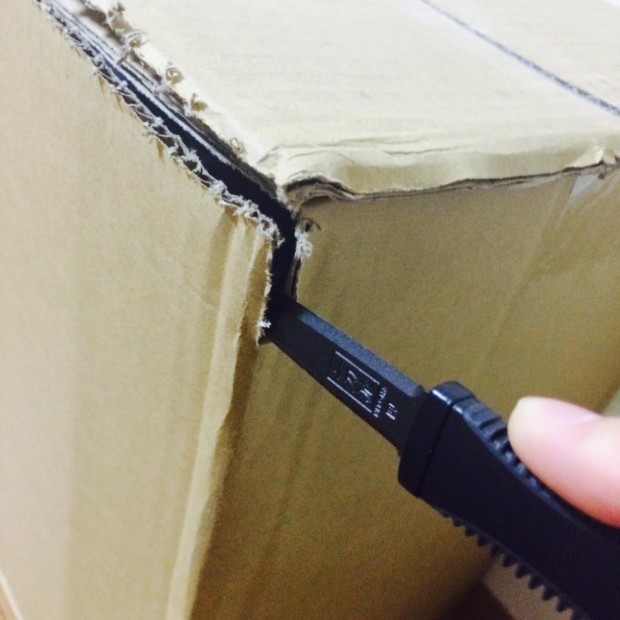 12227223_962318737140831_5211407028802679523_n