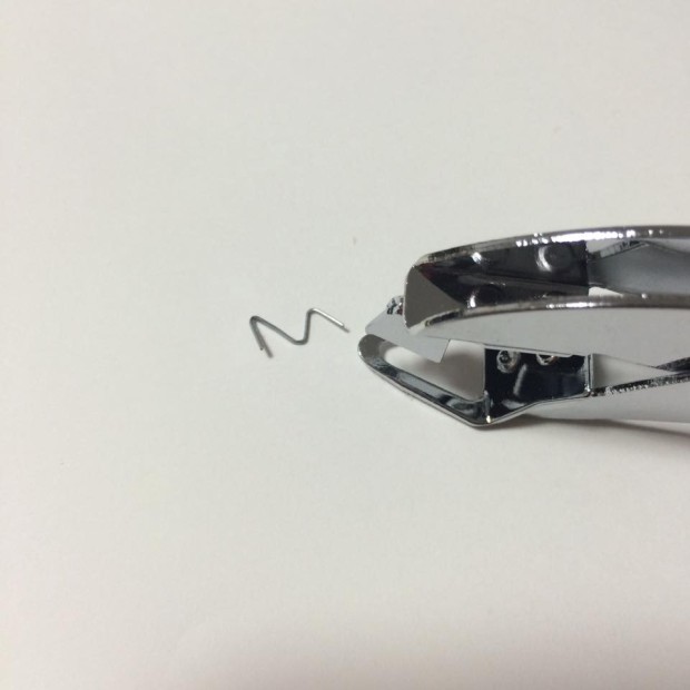 11219099_973893502650021_7833463026388699638_n