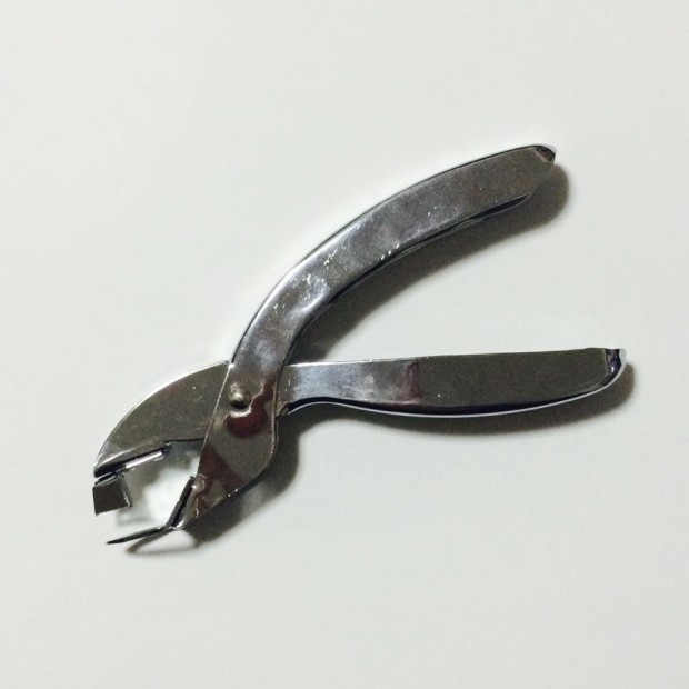 12308282_973893589316679_4206746337752627165_n