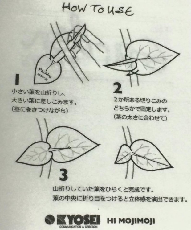 10523666_841121572593882_5544621879869279101_n