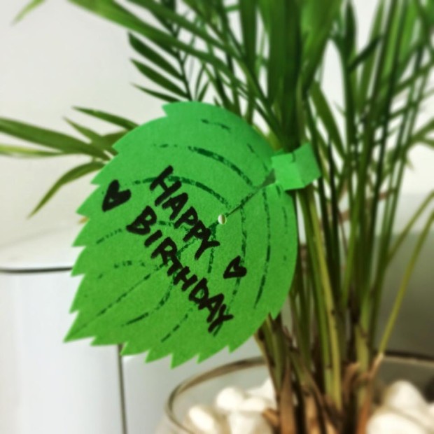 10850148_841121659260540_1903997696055552118_n