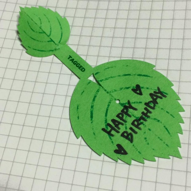 10991108_841121605927212_290354306405812541_n