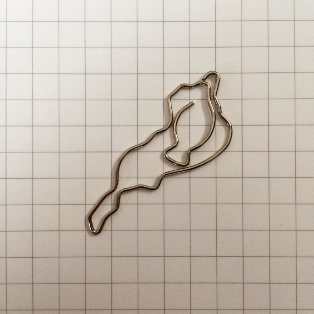 Evernote Camera Roll 20150314 105558