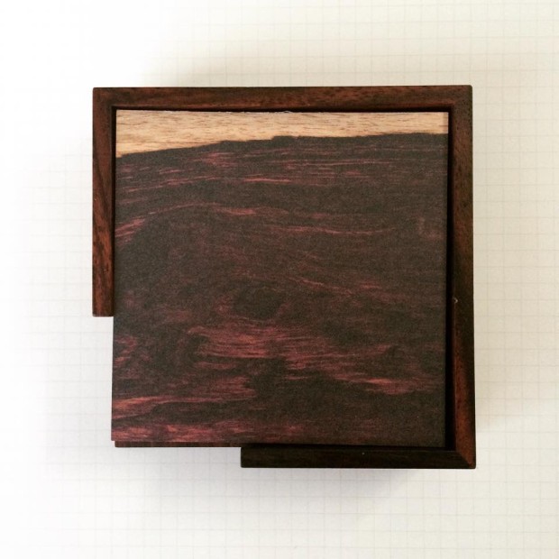 11243456_880268092012563_2251241037028855801_n