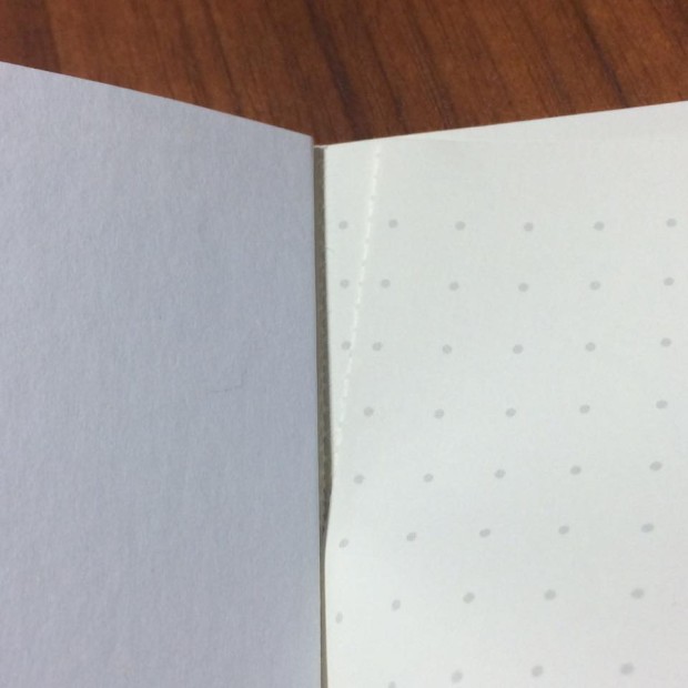 12647091_1005436689495702_7732128855334759773_n