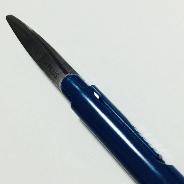 12742164_1009099459129425_3268361259204299120_n