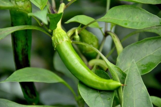 02e9c3a0dc75f399f376bcd3ff9c24d6_s