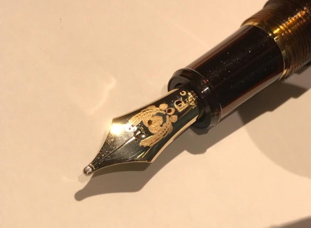 14054063_1217043421668360_5153813027513043996_n